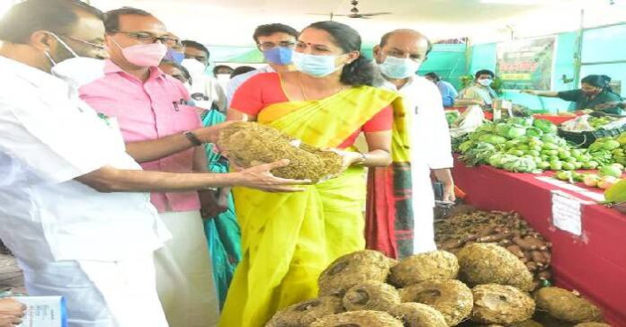 പച്ചമീനും പച്ചക്കറിയുമായി കണ്ണൂര്‍ ജില്ലാപഞ്ചായത്ത് വിപണന മേള