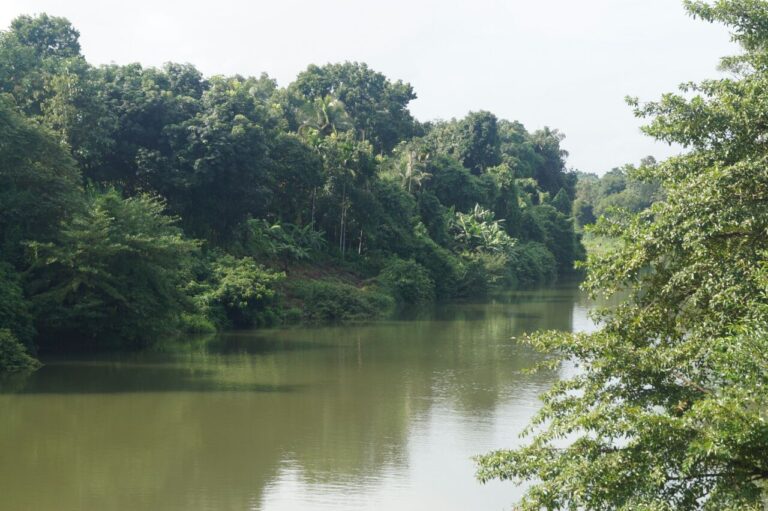 ‘പുഴകൾ പാടുന്നു’ ഇരുവഞ്ഞി റിവർ സമ്മിറ്റ് നാളെ മുക്കത്ത്