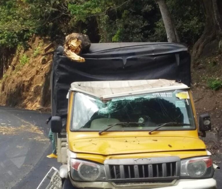 ചുരത്തിൽ ഓടികൊണ്ടിരിക്കുന്ന പികപ്പിന്റെ മുകളിലേക്ക് മരം വീണു