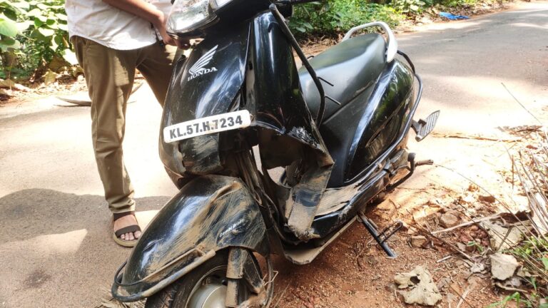 കാട്ടുപന്നി ബൈക്കിന് കുറുകെ ചാടി: വോട്ട് ചെയ്തു മടങ്ങുകയായിരുന്ന അച്ഛനും മകനും പരിക്ക്