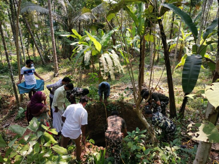 കിണറ്റിൽ വീണ കുറുക്കനെ രക്ഷപ്പെടുത്തി