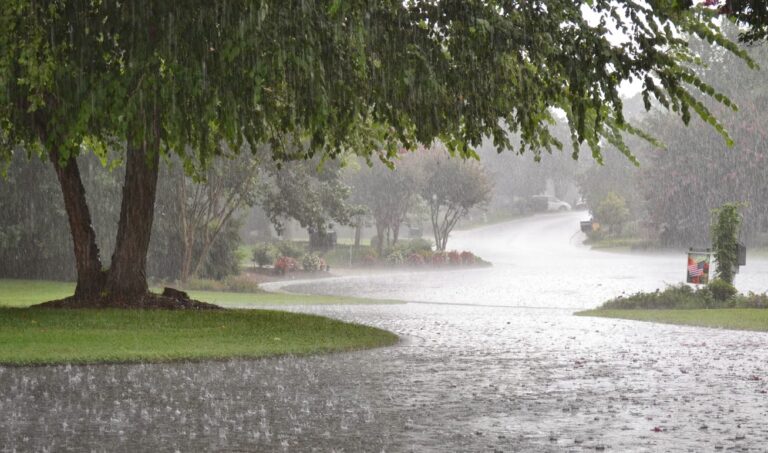 കേരളത്തിൽ വെള്ളിയാഴ്ച്ച വരെ കനത്ത മഴയ്ക്ക് സാധ്യത