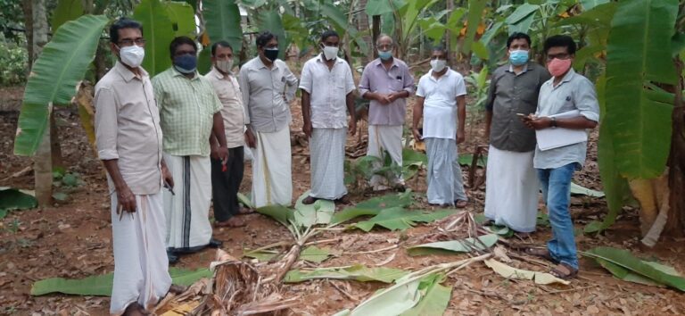കാട്ടുപന്നി ശല്യം : കൃഷി നാശം സംഭവിച്ച സ്ഥലങ്ങൾ ഫോറസ്റ്റ് ഓഫീസർ സന്ദർശിച്ചു.