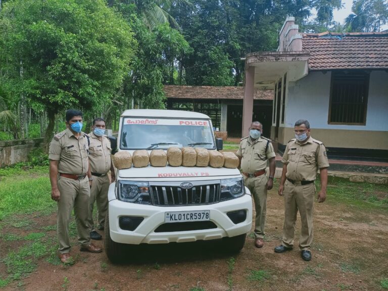 ആൾ താമസമില്ലാത്ത വീട്ടിൽ നിന്നും 17 കിലോ400 ഗ്രാം കഞ്ചാവ് കണ്ടെടുത്തു.