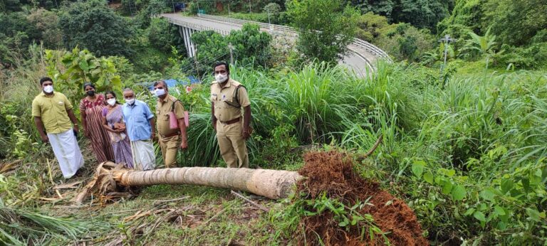 തുഷാരഗിരിയിൽ ഭീതിപടർത്തി വീണ്ടും കാട്ടാന