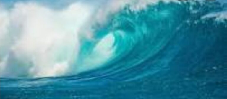 ലോക സമുദ്ര ദിനം