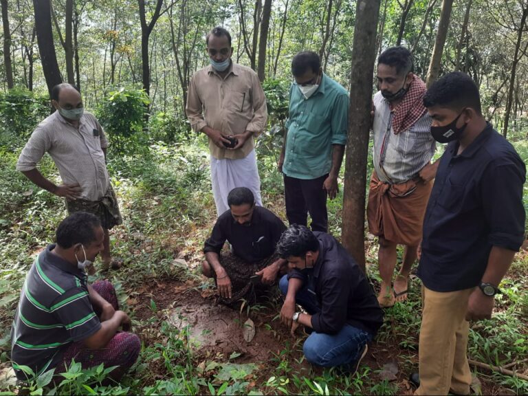 പൊട്ടംകോട് മലയിൽ കണ്ടത് കടുവയുടെ കൽപ്പാടുകൾ