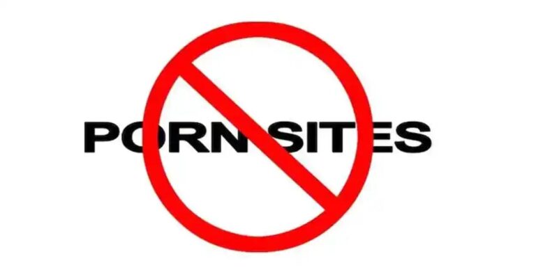 രാജ്യത്ത് 63 അശ്ലീല വെബ് സെറ്റുകള്‍ നിരോധിച്ചു