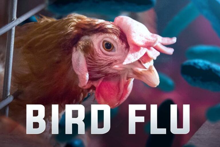 പനിയും ജലദോഷവും സൂക്ഷിക്കുക; പക്ഷിപ്പനിയില്‍ ജാഗ്രത വേണമെന്ന് ആരോഗ്യ വകുപ്പ്