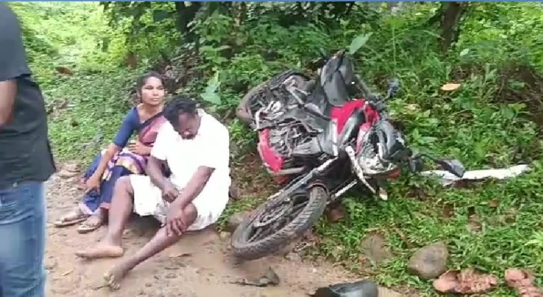 കാട്ടാന ആക്രമണം; ദമ്ബതികള്‍ക്ക് പരുക്ക്