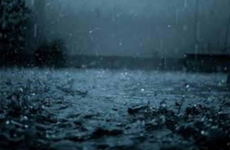 കേരളത്തിൽ നാളെ വ്യാപക മഴയ്ക്ക് സാധ്യത.