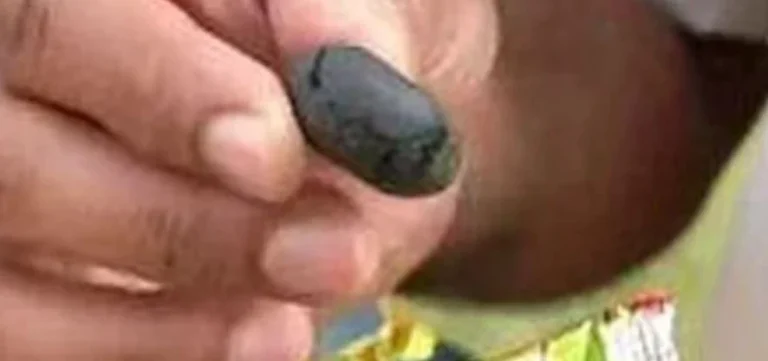 കൊച്ചിയില്‍ വിദ്യാര്‍ഥികളെ വലയിലാക്കാന്‍ കഞ്ചാവ് മിഠായി ;  പോലീസ് പിടിച്ചെടുത്ത് മൂന്ന് കിലോ മിഠായി