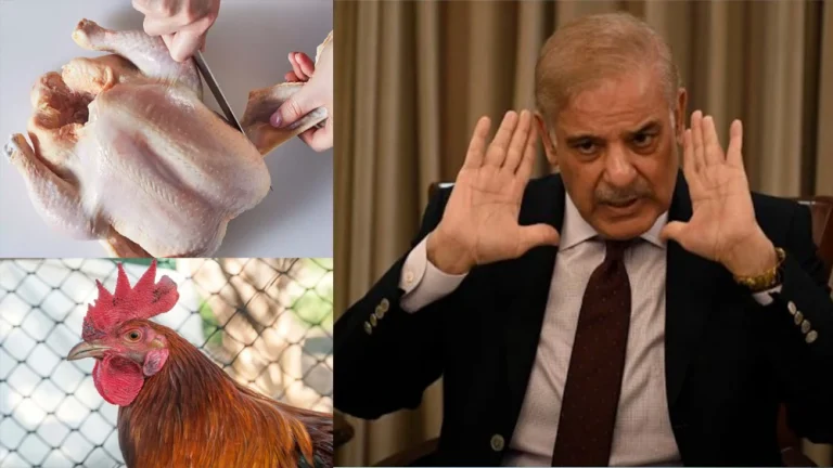 കോഴിയിറച്ചിക്ക് 1,000 രൂപ, 12 മുട്ടയ്‌ക്ക് 500 രൂപ; വിലക്കയറ്റത്തില്‍ അന്ധാളിച്ച്‌ പാക് ജനത