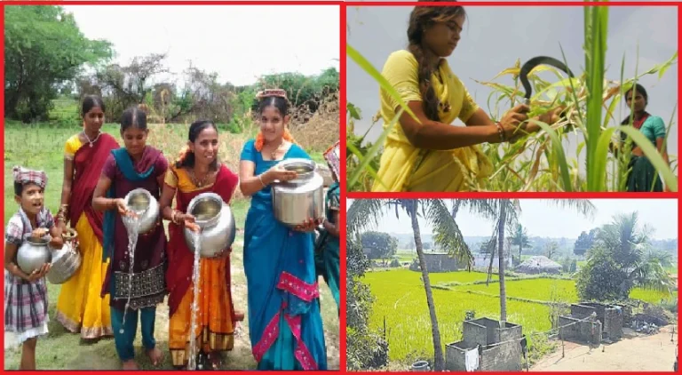 തെലങ്കാനയിലെ ഈ ഗ്രാമത്തിലെ ആളുകളുടെ ശരാശരി പ്രായം 90 വയസ്സ് , രോഗങ്ങളൊന്നുമില്ല! ആരോഗ്യ രഹസ്യം അറിയാം