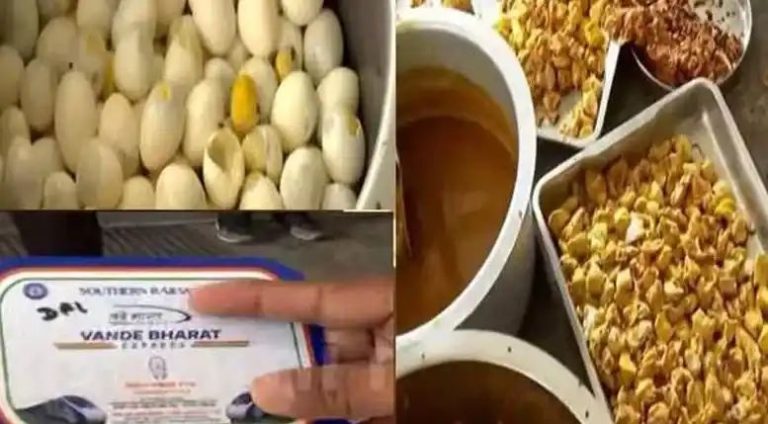 കടവന്ത്രയില്‍ പഴകിയ ഭക്ഷണം; പിടികൂടിയത് വന്ദേ ഭാരത് അടക്കമുള്ള ട്രെയിനുകളിലേക്ക് വിതരണം ചെയ്യാൻ തയാറാക്കുന്ന ഭക്ഷണം