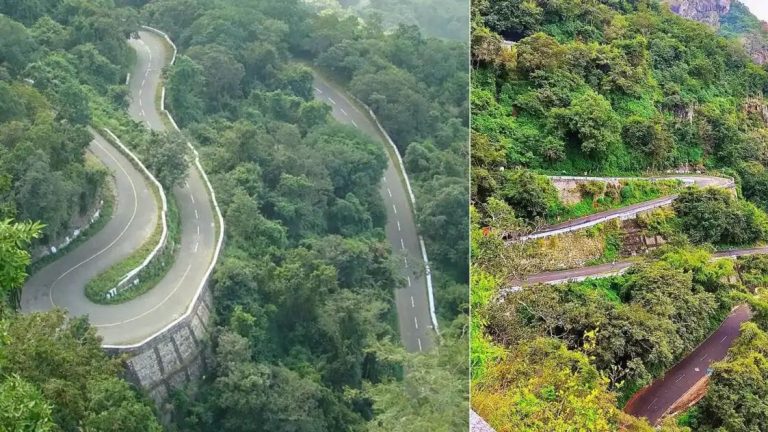 വാല്‍പ്പാറ യാത്രയ്ക്ക് ഇനി ഇ-പാസ് നിര്‍ബന്ധം; എന്താണ് ചെയ്യേണ്ടത്? കോടതി നിര്‍ദേശം ഇങ്ങനെ