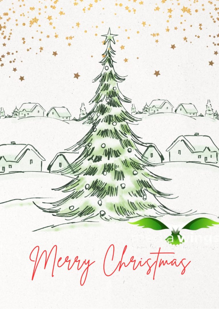 അപരിചതരോടും ദരിദ്രരോടും ദയ കാണിക്കണമെന്ന് മാർപാപ്പ; തിരുപ്പിറവിയുടെ ഓർമയിൽ ഇന്ന് ക്രിസ്മസ്