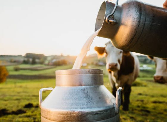 ക്ഷീര വികസന വകുപ്പിന്റെ മാധ്യമ അവാർഡിന് അപേക്ഷിക്കാം