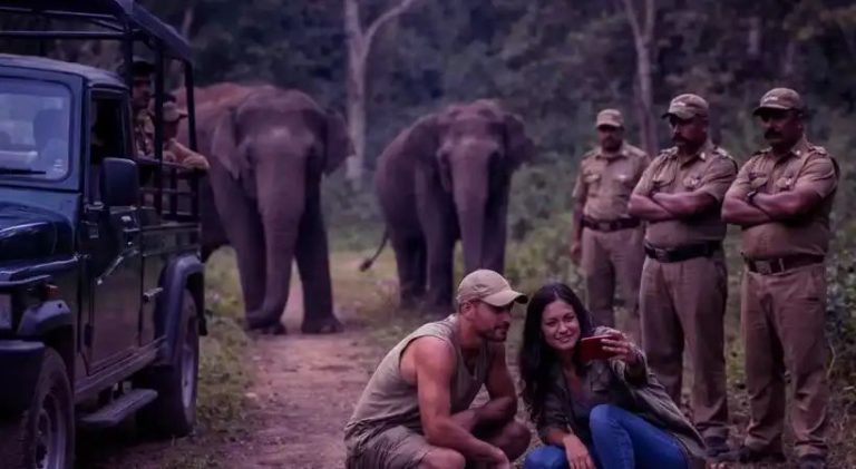 വന്യമൃഗങ്ങള്‍ക്കൊപ്പം സെല്‍ഫി; മസിനഗുഡിയില്‍ സഞ്ചാരികള്‍ക്ക് നിയന്ത്രണം, ലംഘിച്ചാല്‍ കര്‍ശന നടപടി.