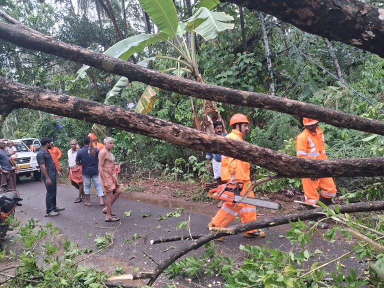 പേരാമ്പ്രയിൽ കനത്ത മഴയും കാറ്റും: വ്യാപക നാശനഷ്ടം; മരങ്ങൾ കടപുഴകി വീണു