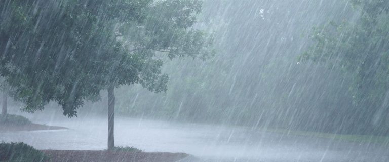 ശക്തമായ മഴ:, കോഴിക്കോട് ജില്ലയിലെ എല്ലാ വിദ്യാഭ്യാസ സ്ഥാപനങ്ങള്‍ക്ക് നാളെയും അവധി പ്രഖ്യാപിച്ച്‌ കളക്ടര്‍, പരീക്ഷകള്‍ക്ക് മാറ്റമില്ല