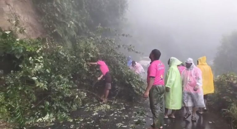 ചുരത്തിൽ മണ്ണിടിച്ചിൽ, മരം കടപുഴകി വീണു