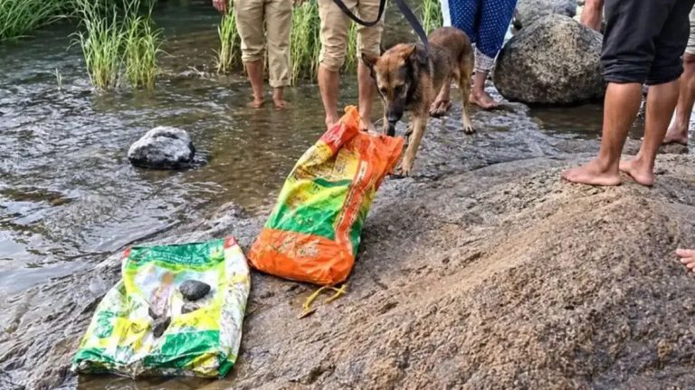 മൃതദേഹങ്ങളില്‍ അടിവസ്ത്രങ്ങള്‍ മാത്രം; കണ്ടെത്തിയത് ബിരിയാണി അരിയുടെ ചാക്കുകളില്‍ ഇരുത്തിയ നിലയില്‍