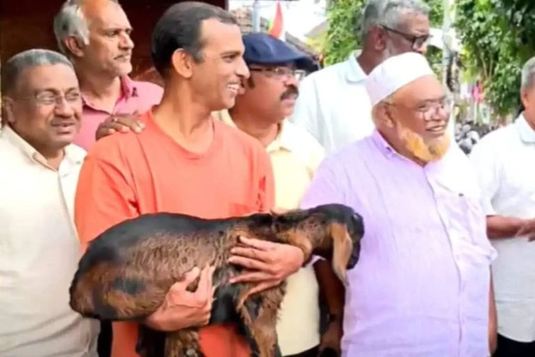 ജയിച്ചാല്‍ ‘ആട്’ ഉറപ്പ്; ഫാത്തിമ തഹിലിയ നേടിയതിനെക്കാള്‍ ഒരു വോട്ട് നേടിയാല്‍ ആട് ഫ്രീ; കുറ്റിച്ചിറയിലെ ബെറ്റ്.