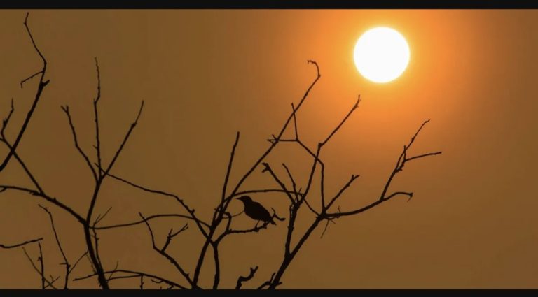സംസ്ഥാനത്ത് ഇന്നും ഉയർന്ന താപനില മുന്നറിയിപ്പ്; 4 ഡിഗ്രി വരെ ചൂട് ഉയരും